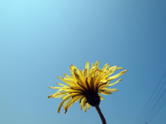 春空