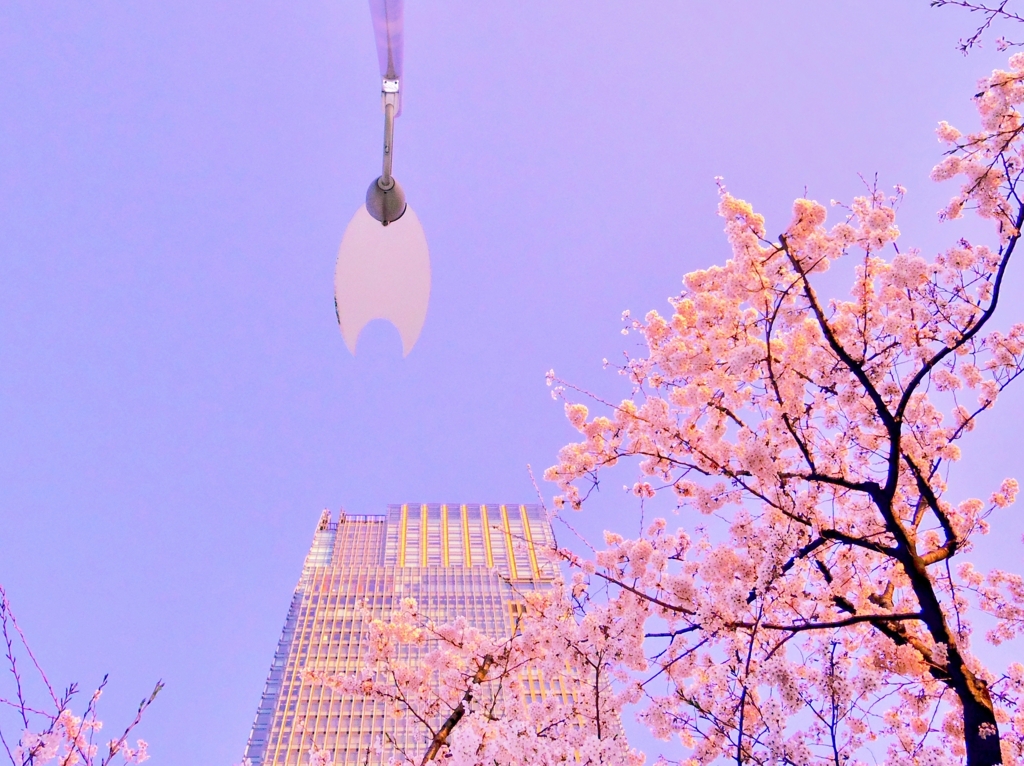 花びら一枚
