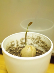 小さな変化