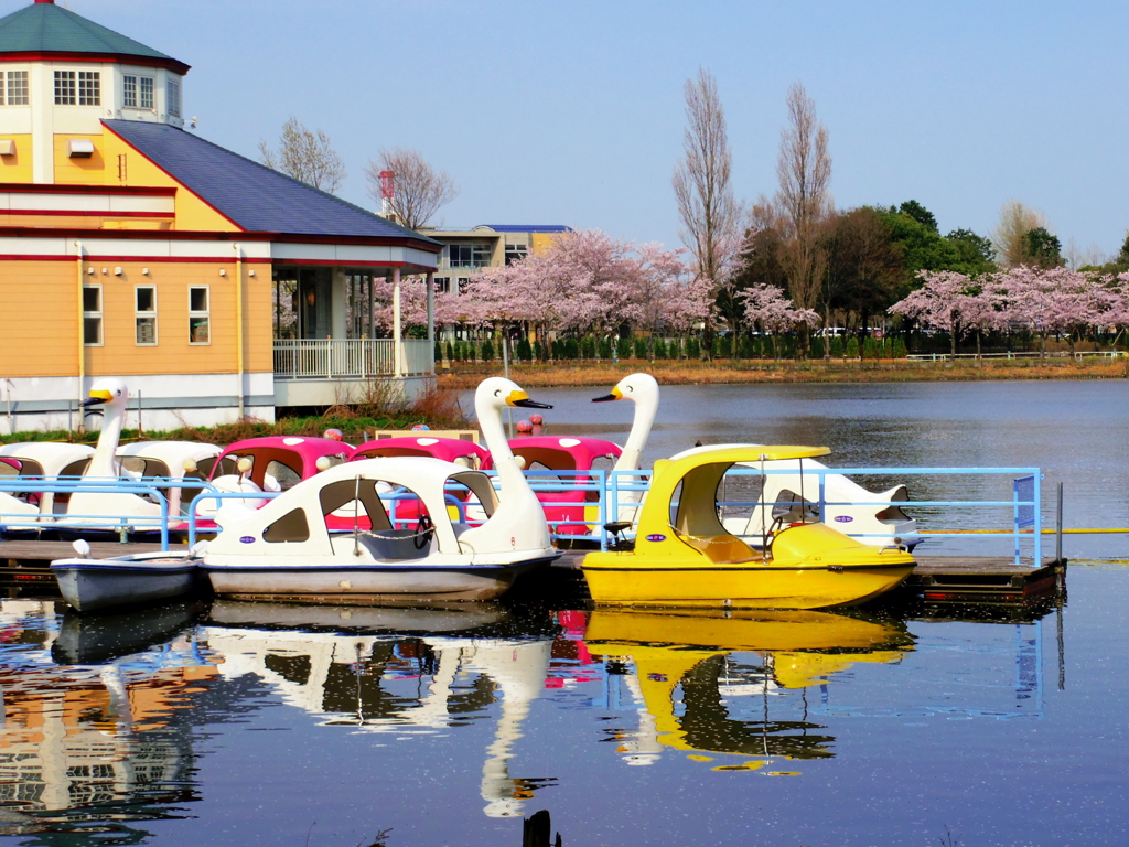  「すれ違い・・・」