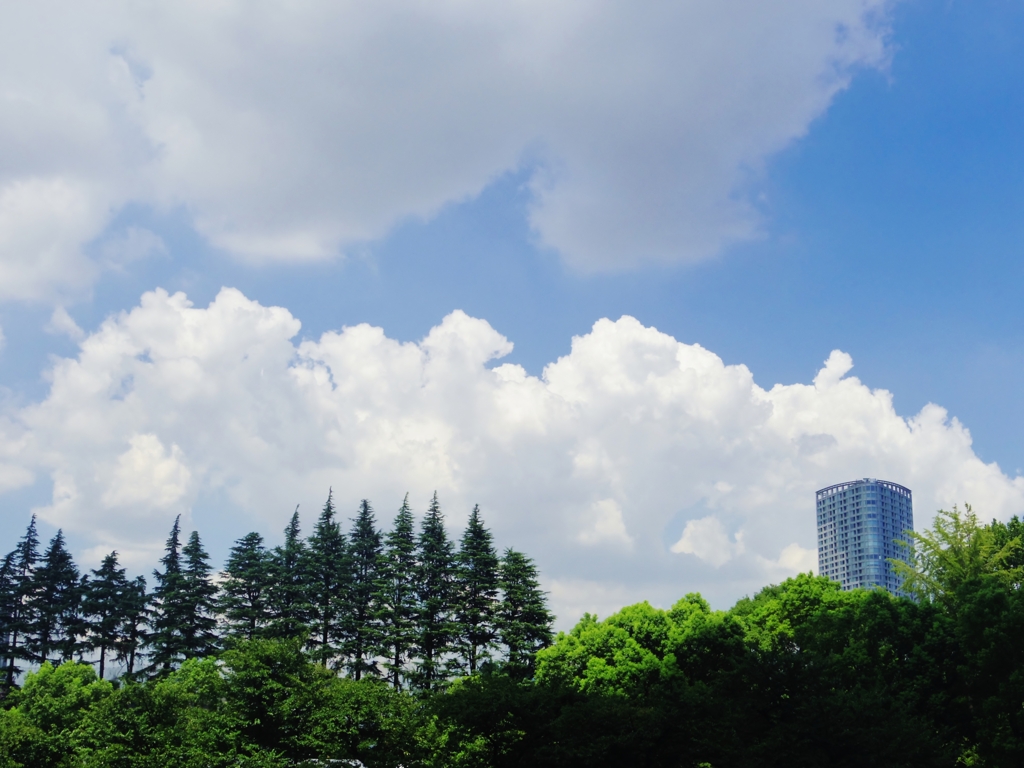 ミッドタウンからの風景