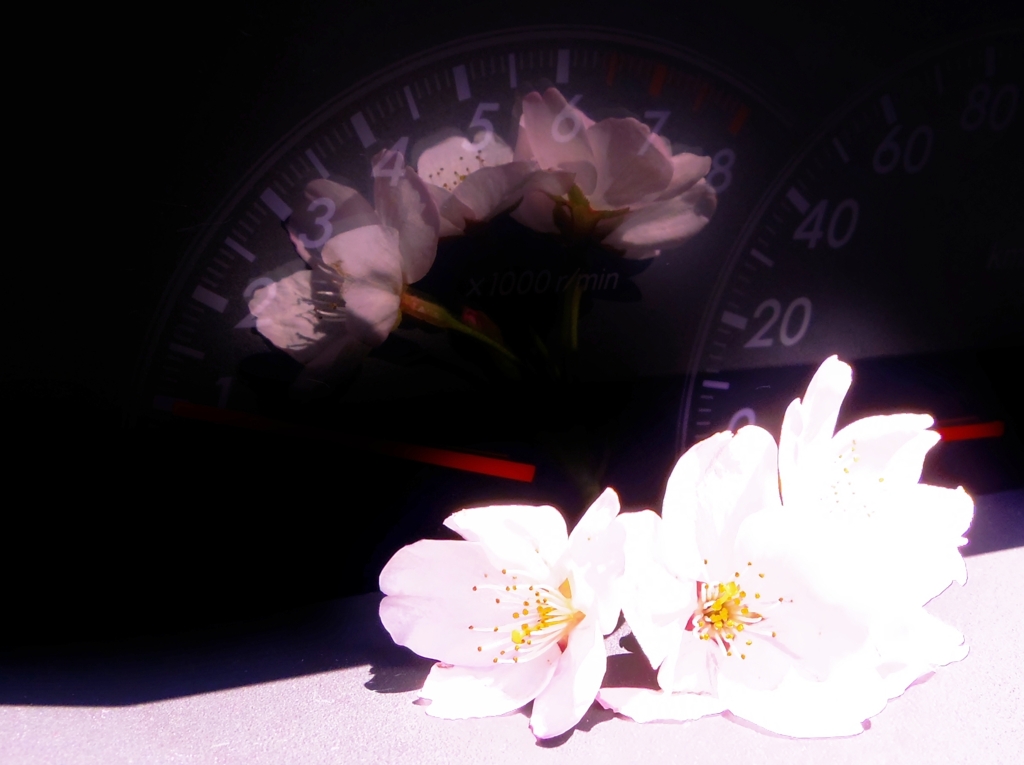 あとちょっとだけ・・・