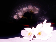 あとちょっとだけ・・・