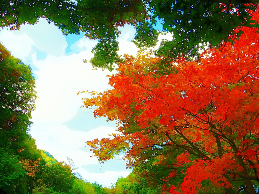 秋の景色 ⅰ
