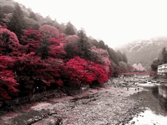 香嵐渓の紅