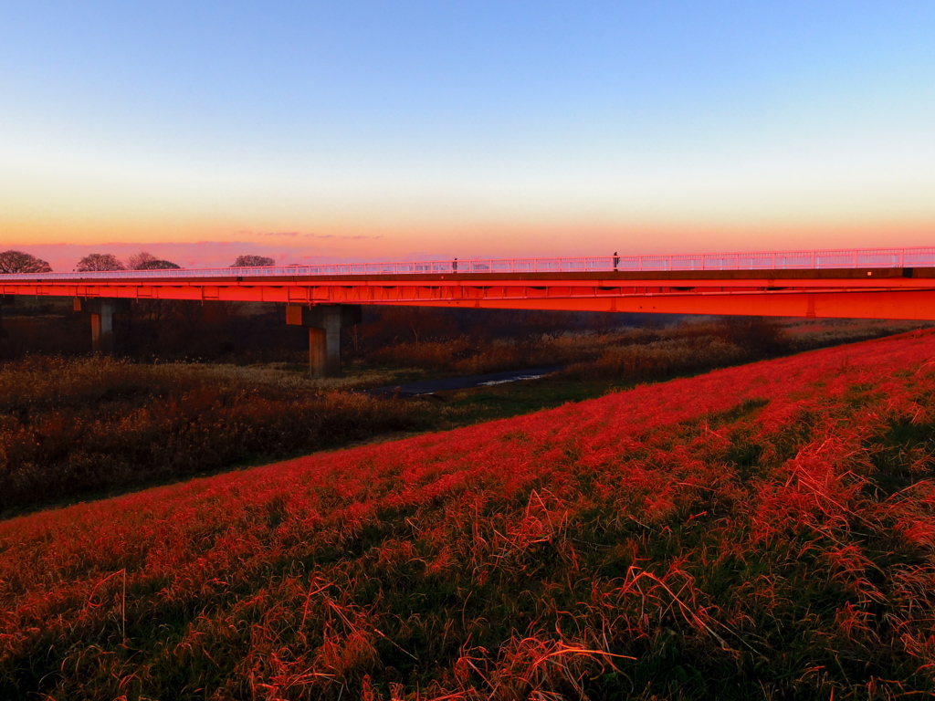 夕陽・極彩2013
