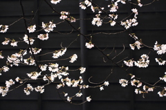 桜模様