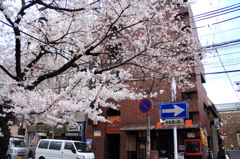 矢印