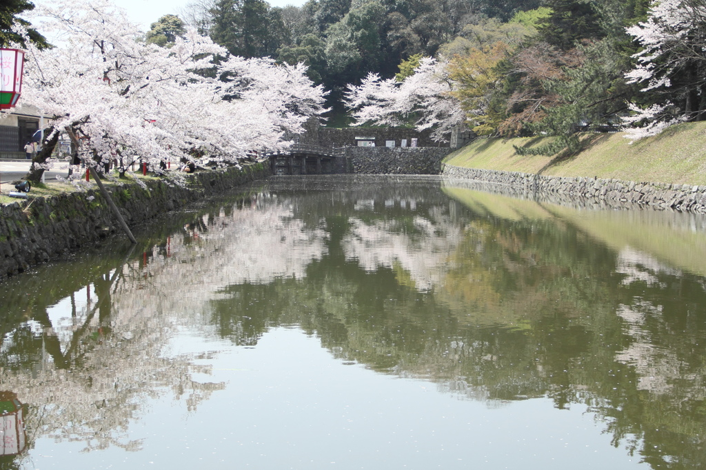 下の世界