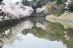 下の世界