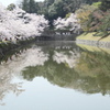 下の世界