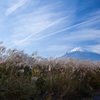 ススキ、青空、飛行機雲、富士山！