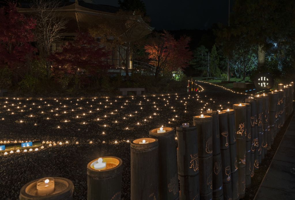 小山町の紅葉ライトアップ