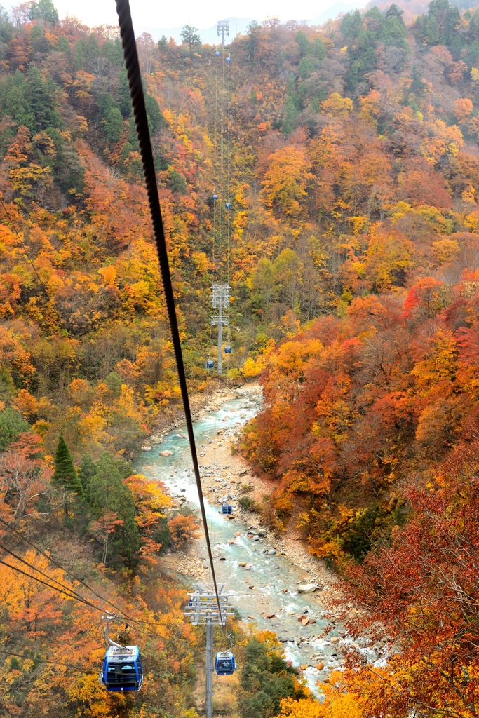 ロープウェーからの紅葉