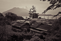 仙巌園と桜島