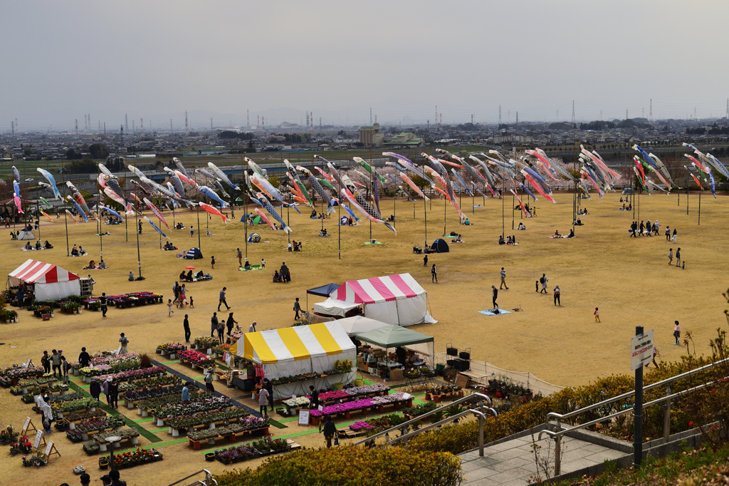 太田市スナップ_2019/04/07