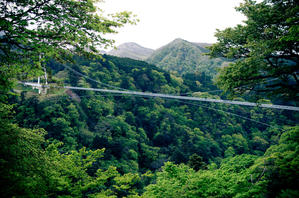 九重夢大吊橋