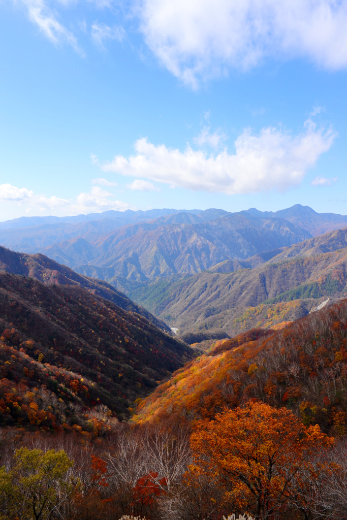 半月山から