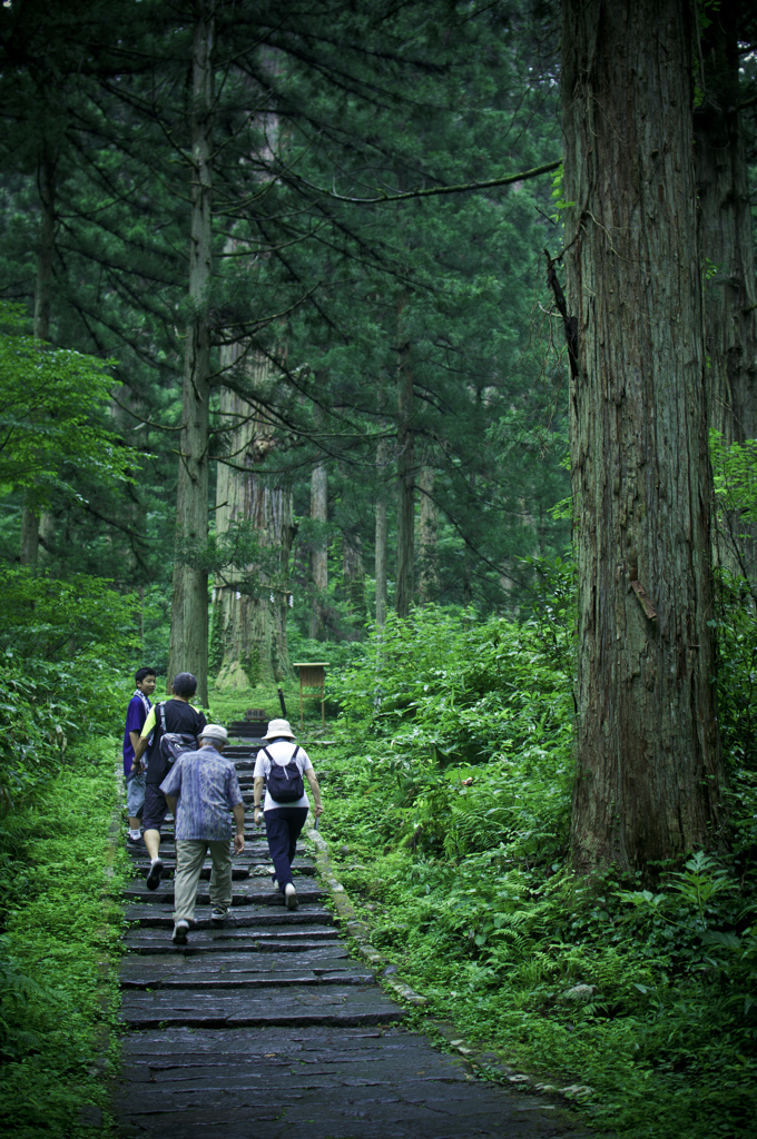山歩き