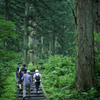 山歩き