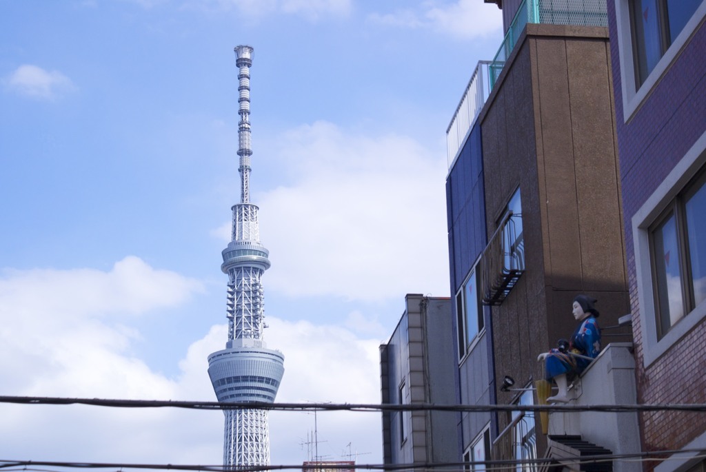 浅草から見た東京スカイツリー