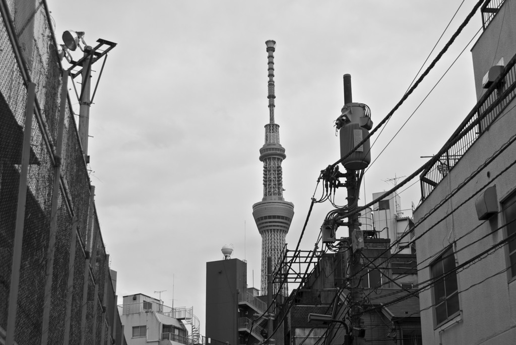 フツーの町にそびえるスカイツリー。