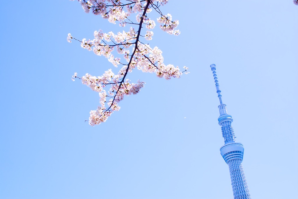 ふと空を見上げたら