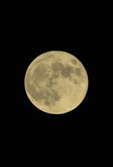 スーパームーン　FF0_3631.1