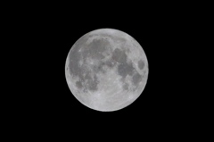 満月（十五夜）GV4A1445.1