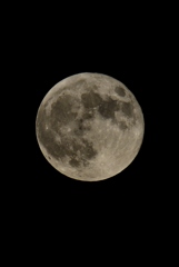 FF0_3619スーパームーン