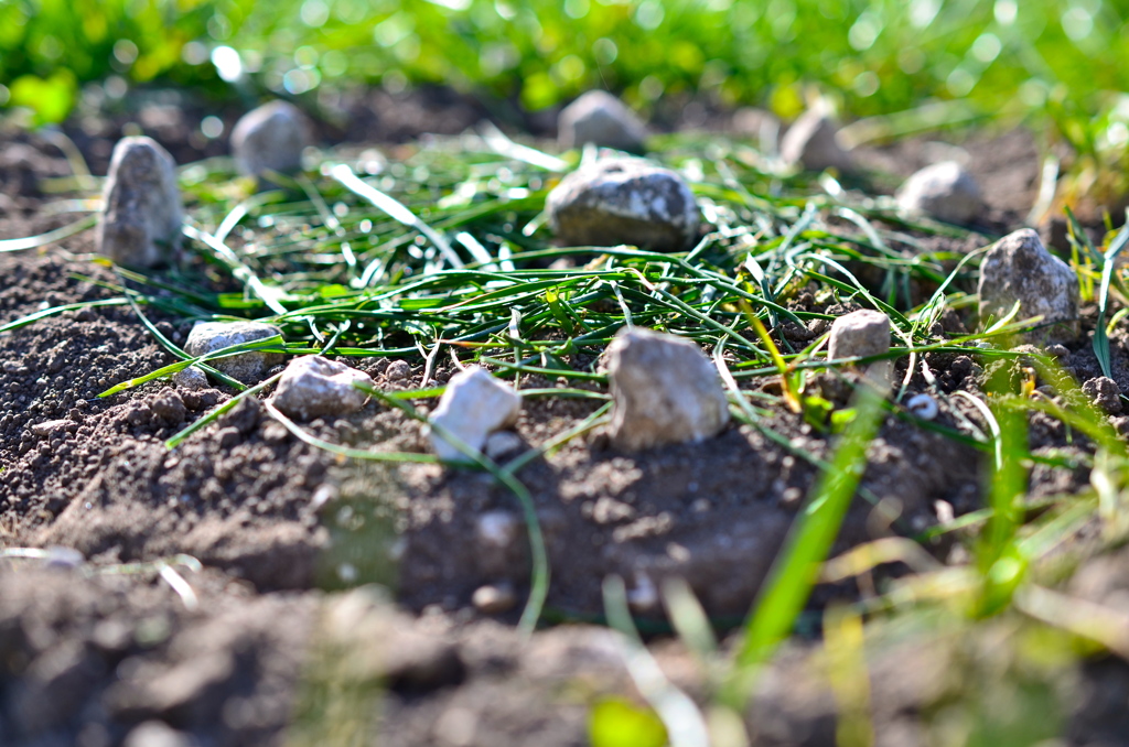 SMALL HENGE