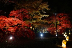 紅いなぁ