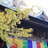 DSC00138