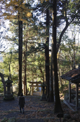 朝の散歩