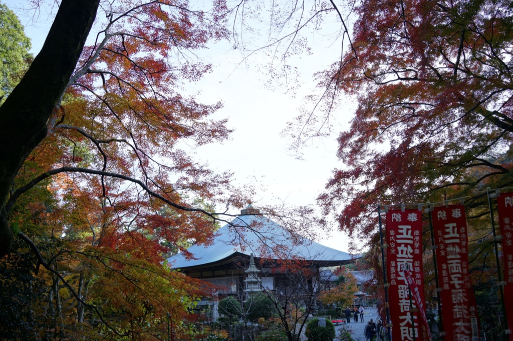 DSC00119