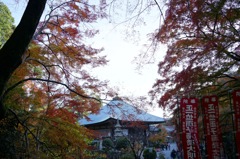 DSC00119