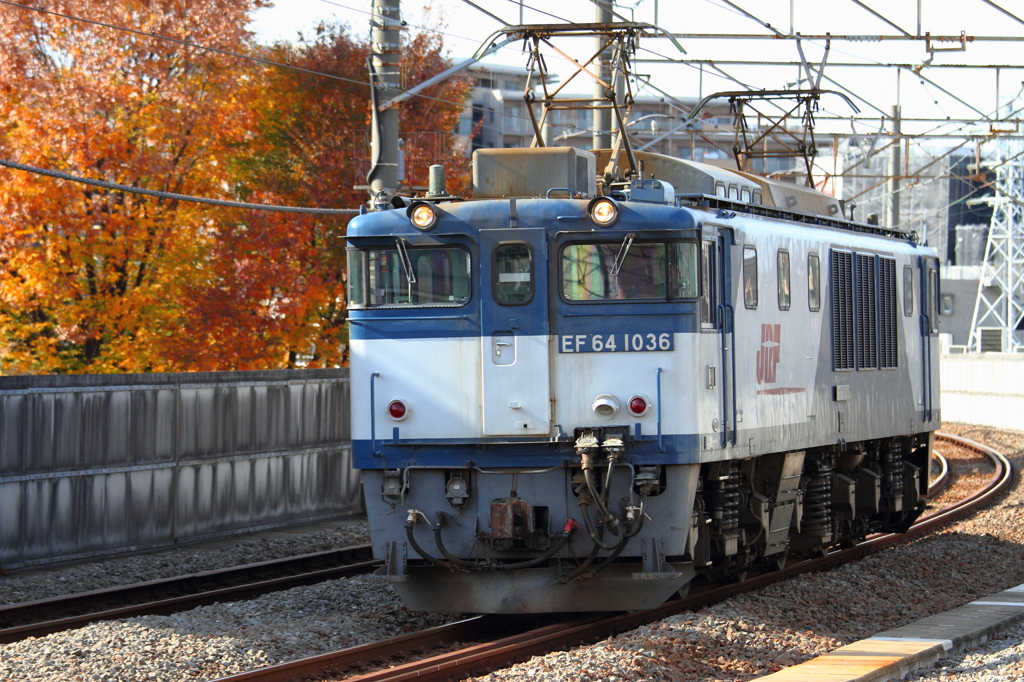 EF64-1036