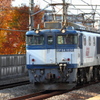 EF64-1036