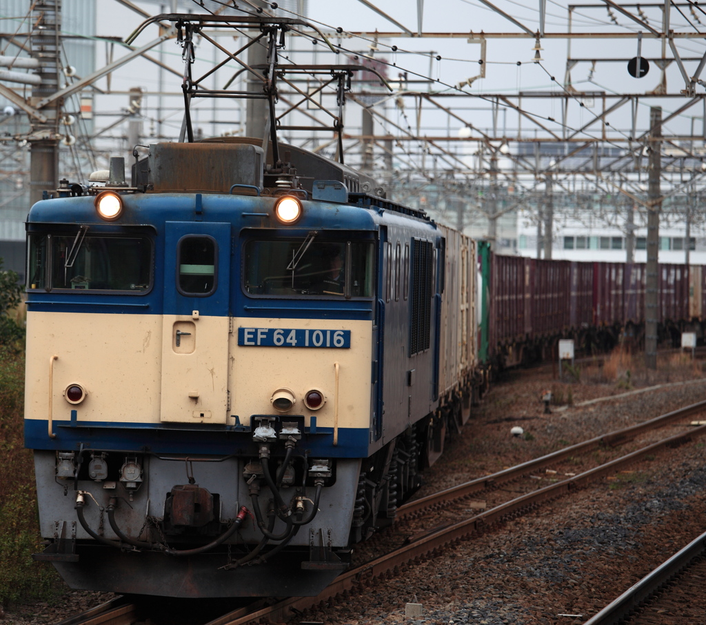 EF64 1016