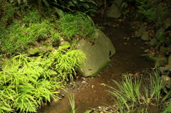 小川