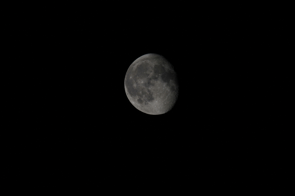 月齢　18.5　800mmで