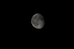 月齢　18.5　800mmで