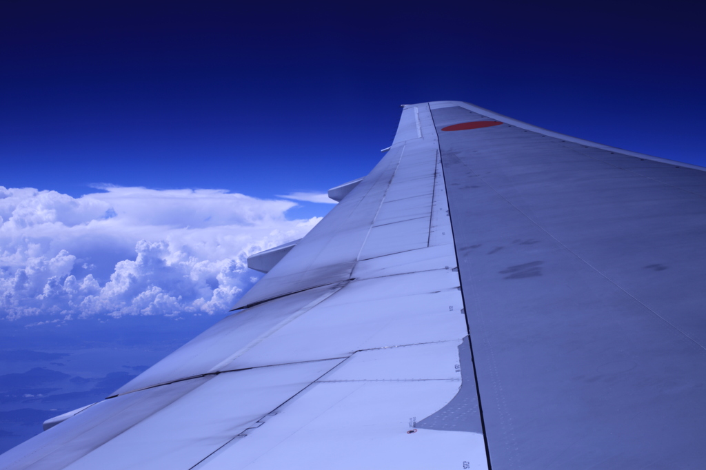 大空を飛ぶ翼