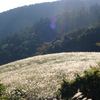 仙石高原