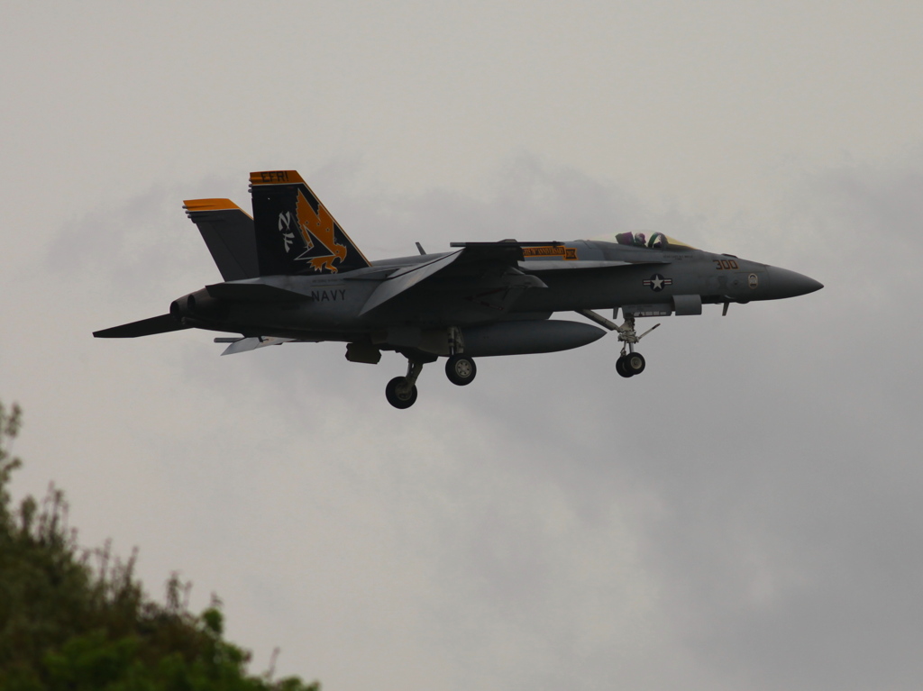 F/A-18E NF-300
