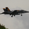 F/A-18E NF-300