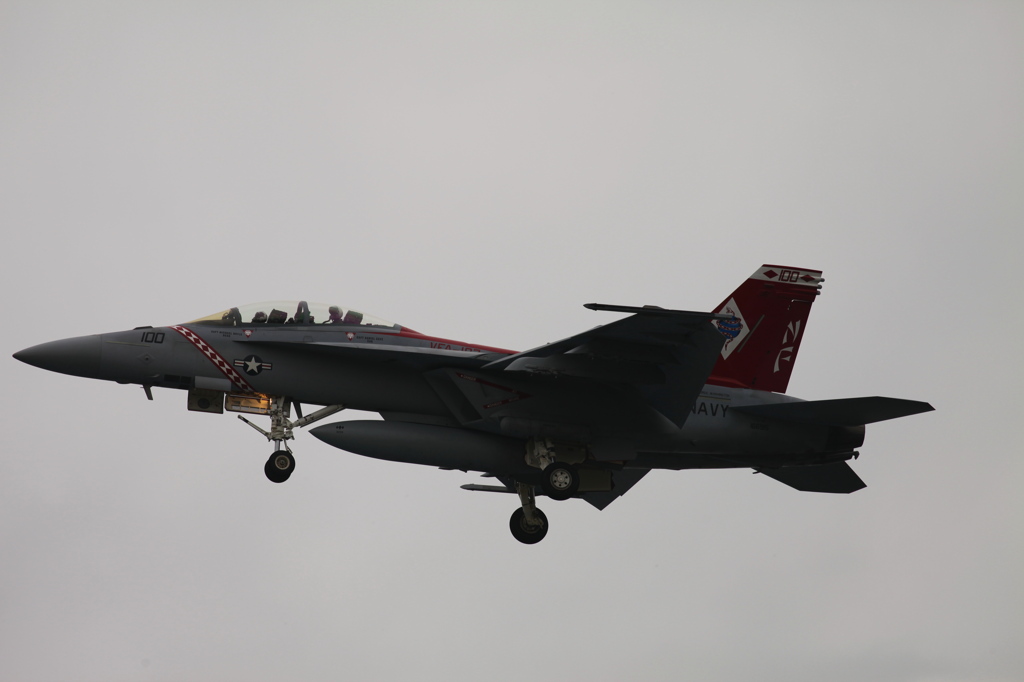 F/A-18E NF-100