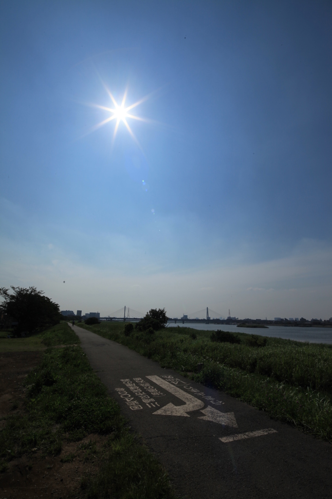 晴天の多摩川沿い