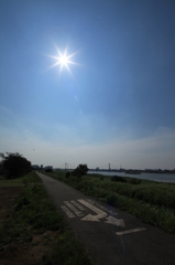 晴天の多摩川沿い