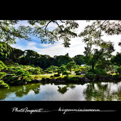 公園散歩